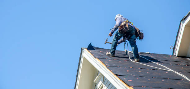 Roof Gutter Cleaning in Altadena, CA